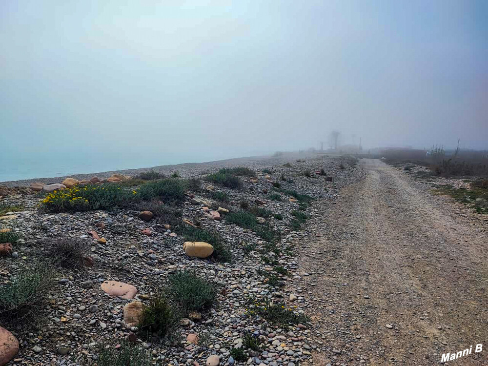 Radtour 
v0n Xilxes nach Sagunto. Wegen plötzlich vom Meer aufkommenden Nebel abgebrochen.
Schlüsselwörter: Spanien; 2024
