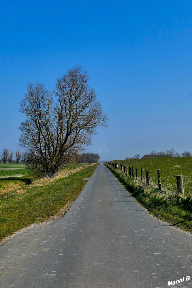 Wangerland
 ist eine Gemeinde im Landkreis Friesland in Niedersachsen. Die Gemeinde mit 9142 Einwohnern erstreckt sich auf einer Fläche von 176 Quadratkilometern und ist damit die flächenmäßig größte Gemeinde des Landkreises Friesland.  laut Wikipedia
Schlüsselwörter: 2022