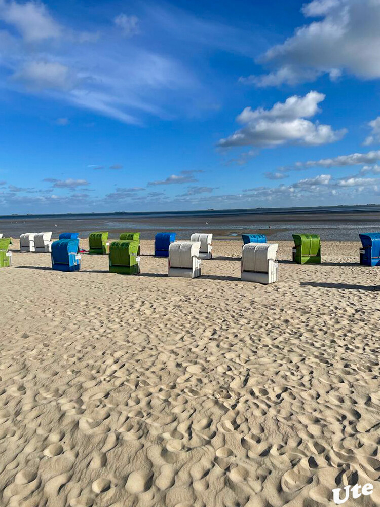 Impressionen aus Wyk
Die Stadt Wyk auf Föhr hat ca. 5.000 Einwohner. Sie ist der Hauptort der Nordseeinsel Föhr im Weltnaturerbe Nationalpark Wattenmeer.
Schlüsselwörter: 2022