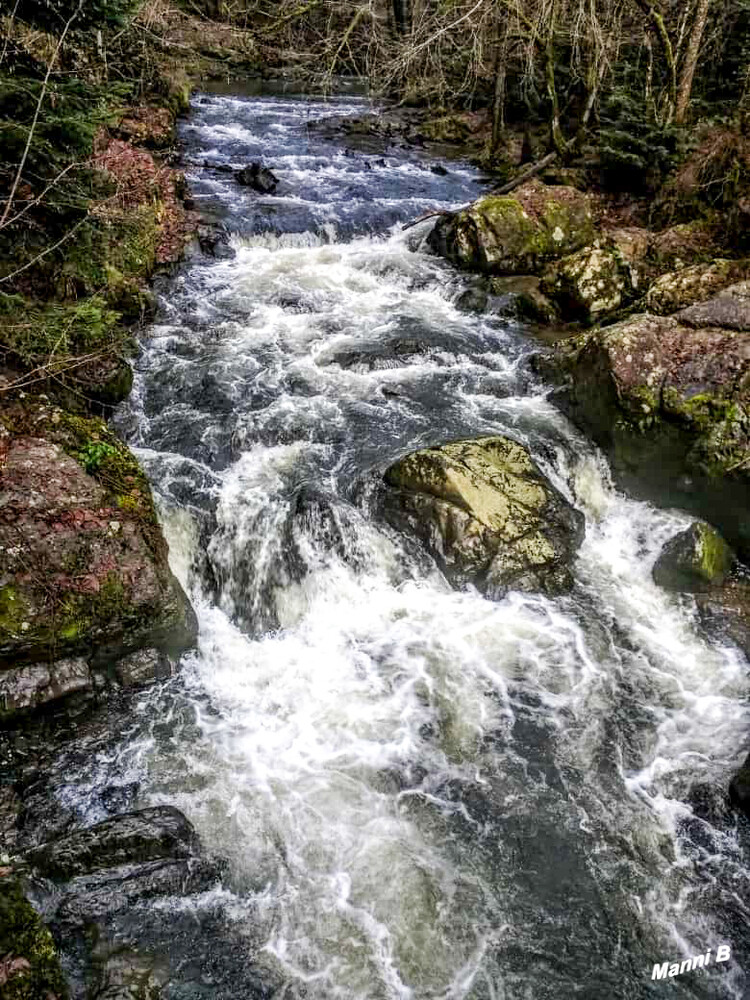 Wolfsschlucht
Höhe Germanenbrücke
Schlüsselwörter: Eifel