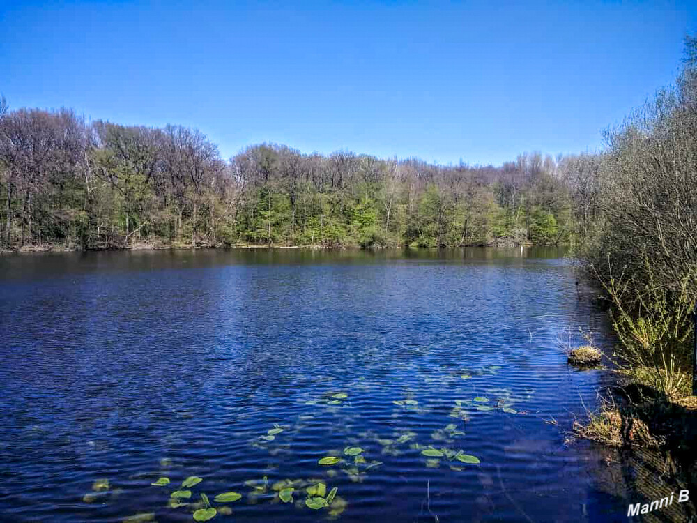 Naturschutzgebiet Beversee
 liegt auf dem Gebiet der Stadt Bergkamen im Kreis Unna in Nordrhein-Westfalen. laut Wikipedia
Schlüsselwörter: 2022