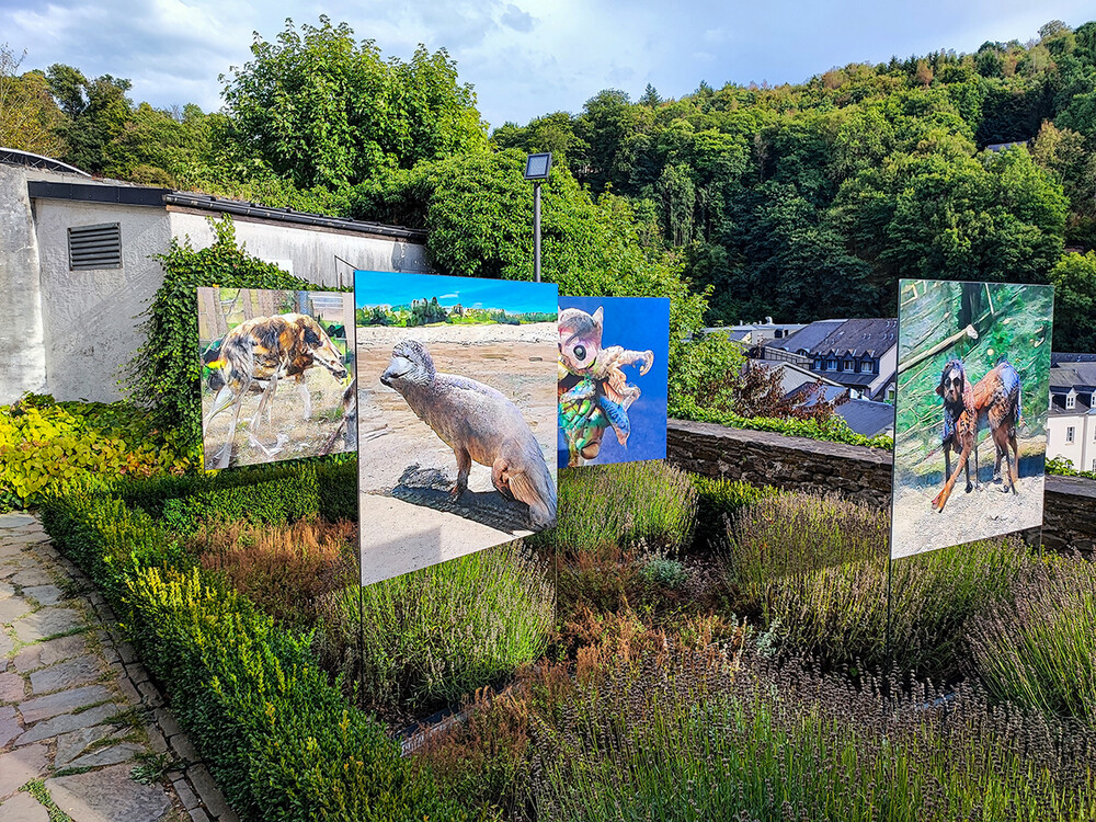 Luxemburgtour
Foto-Kunstausstellung im Außenbereich des Schlosses von Clervaux
Schlüsselwörter: Luxemburg