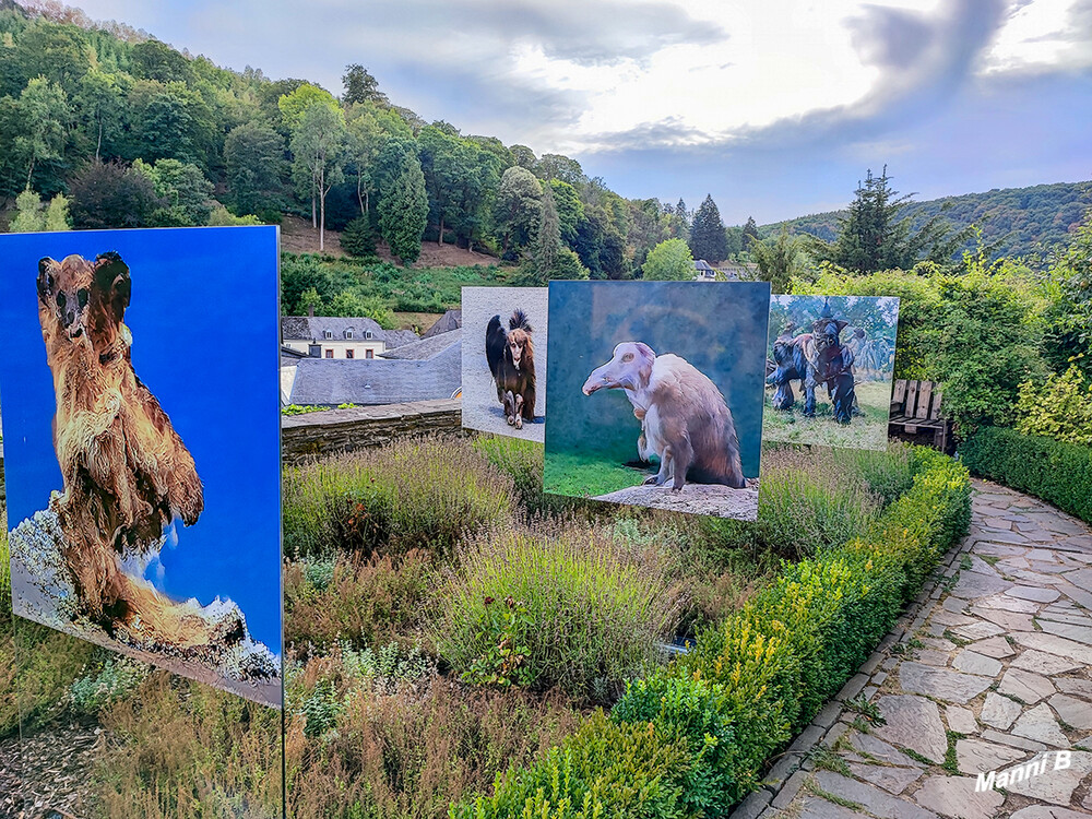 Luxemburgtour
Foto-Kunstausstellung im Außenbereich des Schlosses von Clervaux
Schlüsselwörter: Luxemburg