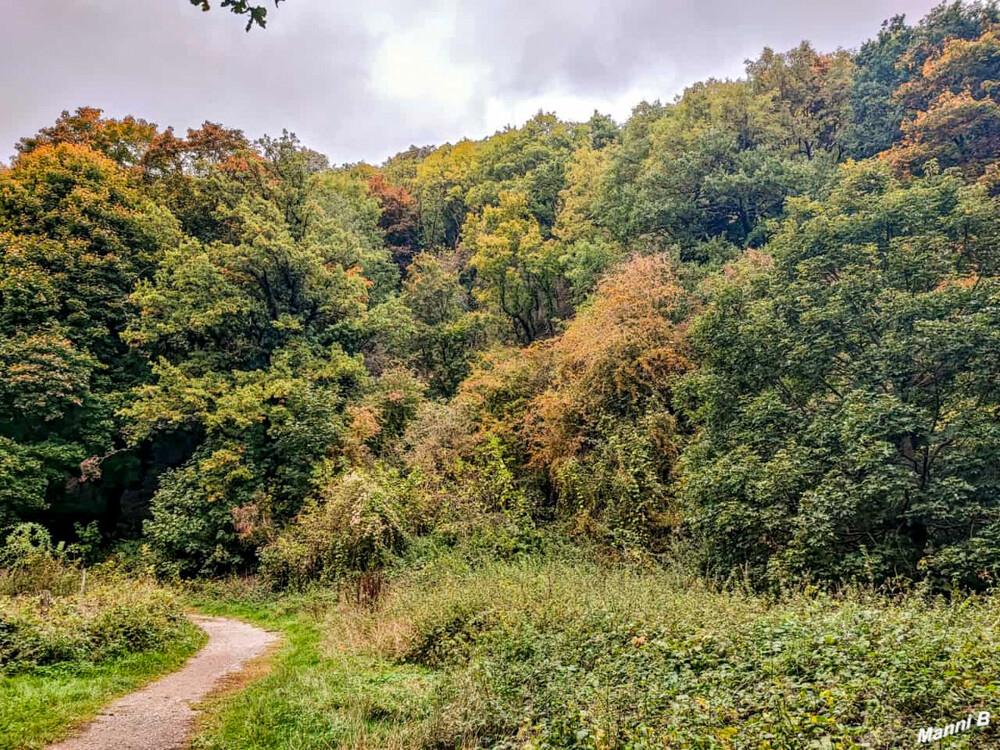 Entdeckungspfad Nideggen/Zerkall
Schlüsselwörter: Eifel