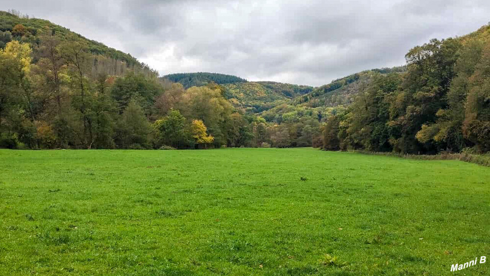 Entdeckungspfad Nideggen/Zerkall
Schlüsselwörter: Eifel