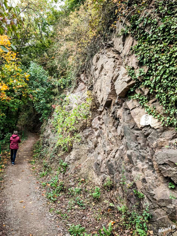 Entdeckungspfad Nideggen/Zerkall
Schlüsselwörter: Eifel