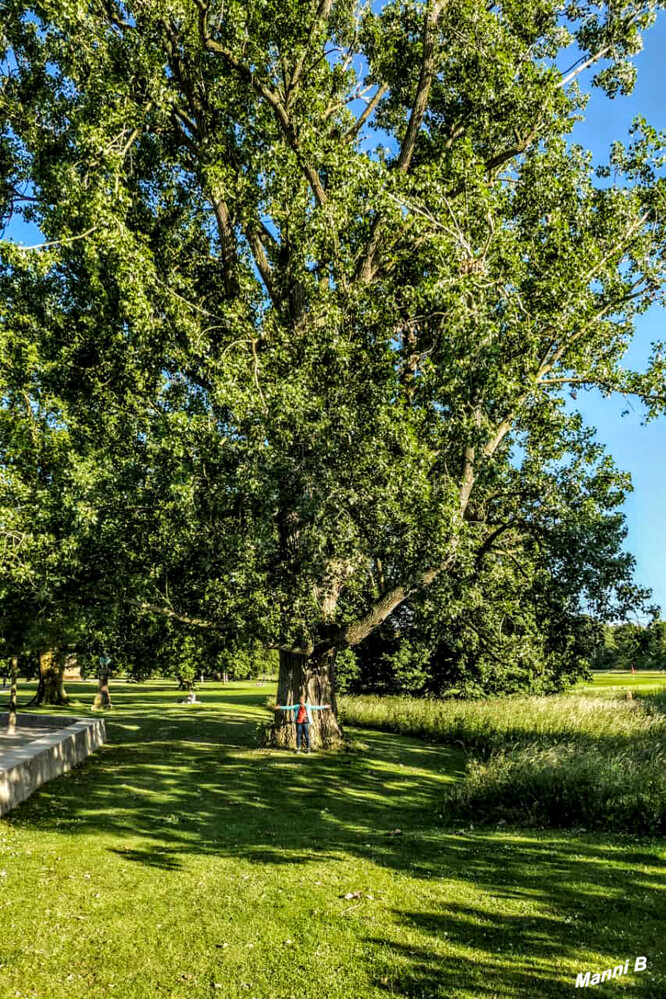 Baco Park Burgsteinfurt
