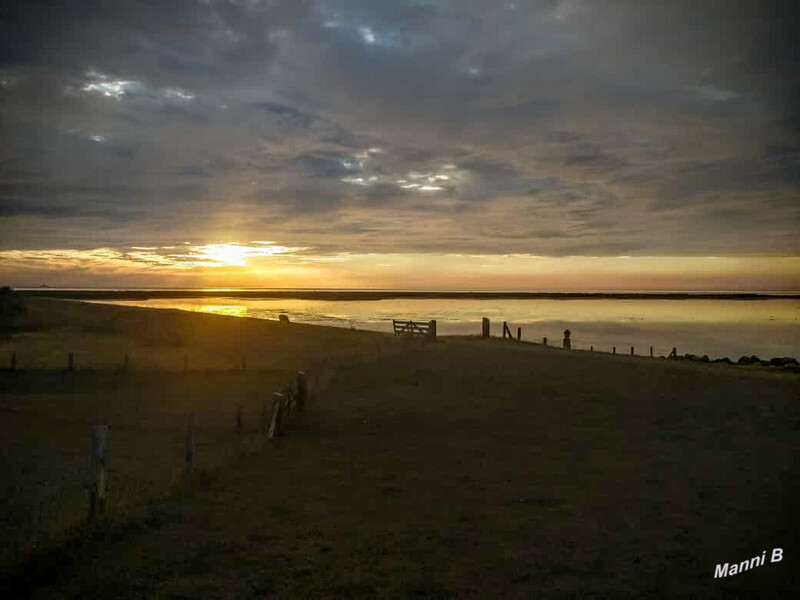 Fehmarnimpressionen
Schlüsselwörter: 2020; Ostsee; Fehmarn