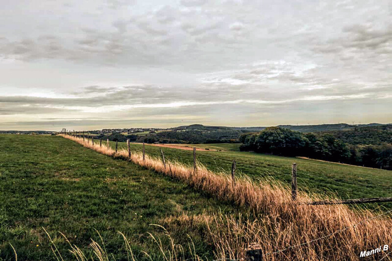 Impressionen aus der Nordeifel
Schlüsselwörter: Eifel