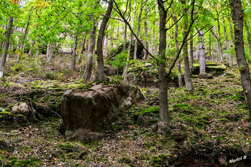 Impressionen aus der Nordeifel
Schlüsselwörter: Eifel