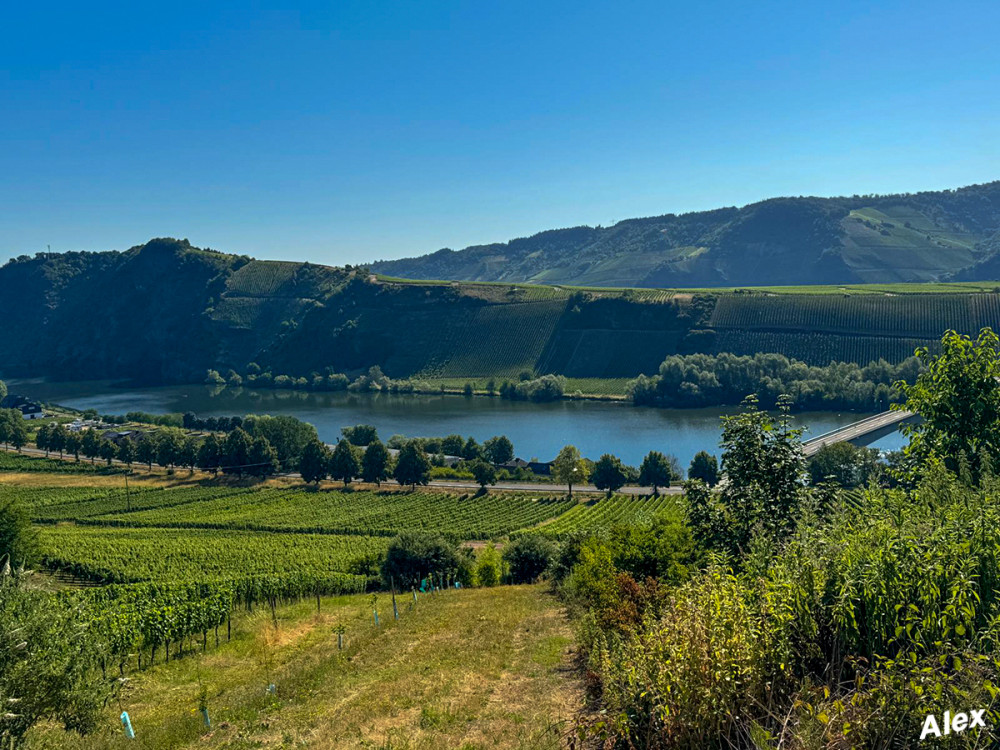 Kurztrip an die Mosel
Schlüsselwörter: 2026