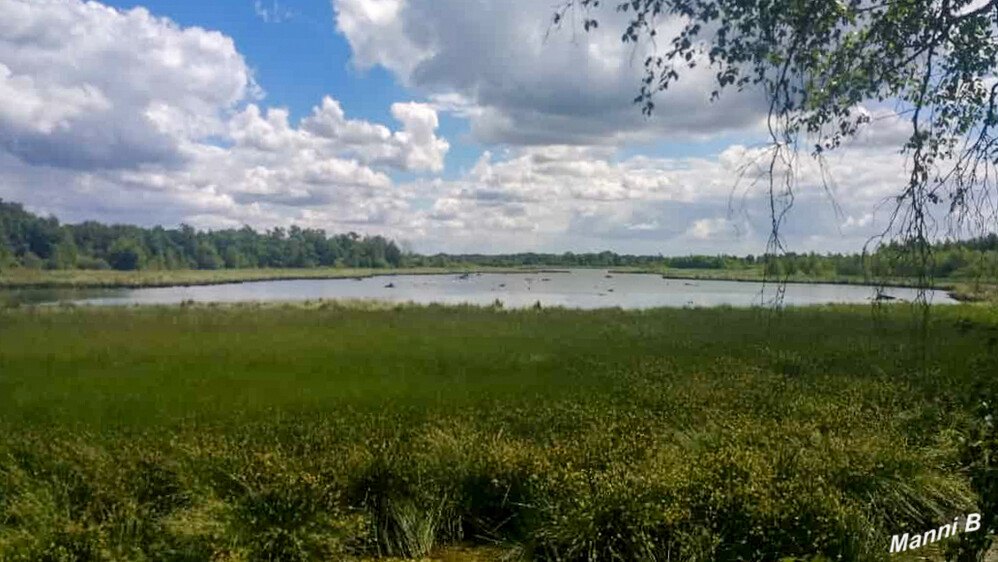 Blick von der Westkanzel des Zwillbrocker Venns
ca. 30 Flamingos aus großer Ferne gesichtet
