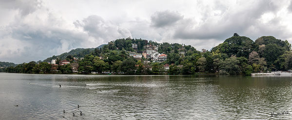Kandy Impressionen
Der Kandy Lake, auch Kiri Muhuda oder das Meer der Milch genannt, ist ein künstlicher See im Herzen der Hügelstadt Kandy, Sri Lanka, erbaut 1807 von König Sri Wickrama Rajasinghe neben dem Zahntempel. laut Wikipedia
Schlüsselwörter: Sri Lanka, Kandy