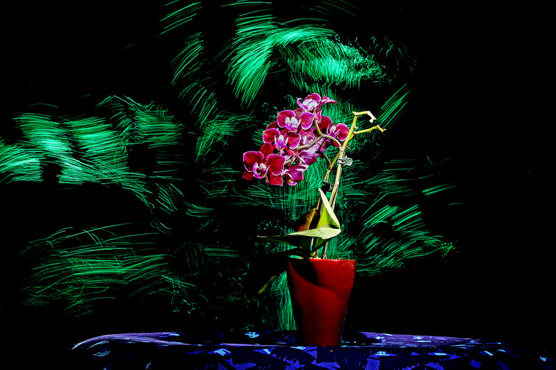 Farbenfroh
Elise Schumann
Nur mit Taschenlampe und Aufsetzer ausgeleuchtet.
Schlüsselwörter: Lichtmalerei , Light Painting, 2020