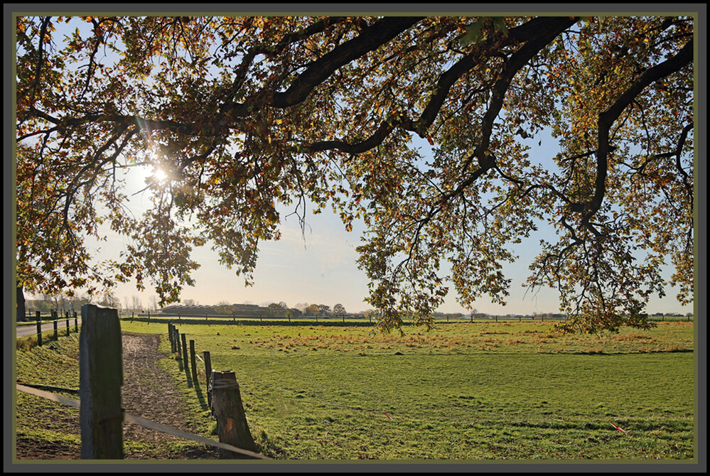 Weitwinkel "Herbstsonne"
Elise
Schlüsselwörter: 2021