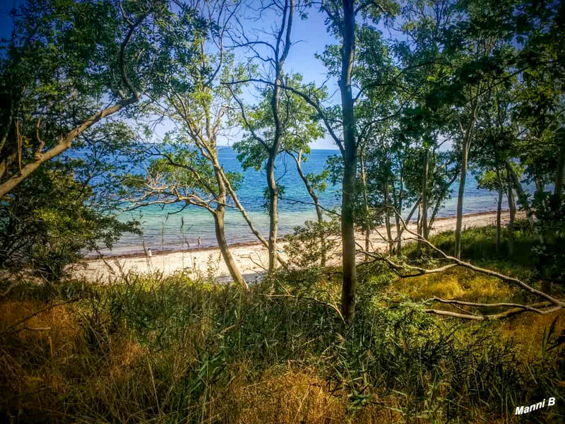 Fehmarnimpressionen
Mit dem Fahrrad an der "Steilküste" Richtung Katharinenhof
Schlüsselwörter: 2020; Ostsee; Fehmarn