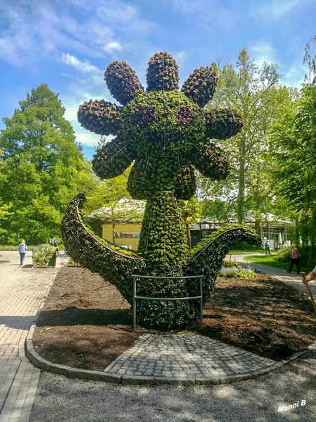 Insel Mainau
