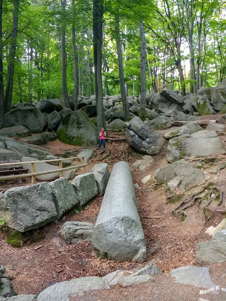 Felsenmeer 
auf dem Felsberg oberhalb von Lautertal-Reichenbach im Vorderen Odenwald ist eine Felsenlandschaft aus dunkelgrauem Quarzdiorit, die durch Wollsackverwitterung entstand. Das Felsenmeer wurde bereits von den Römern und später durch die örtlichen Steinmetze zur Steingewinnung genutzt. Wikipedia
