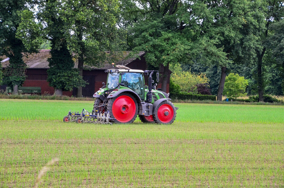 3.W Motive von L - P  "Landwirtschaft"
Perla
Schlüsselwörter: 2024