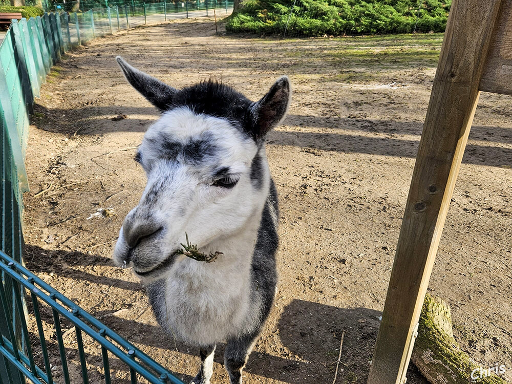 Immer mit Gemütlichkeit
Tiergarten Odenkirchen
