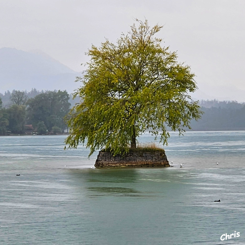 Auf dem See
Herrenchiemsee liegt auf der Herreninsel im Chiemsee (dem größten See in Bayern, oft auch „Bayerisches Meer“ genannt). lt.chiemsee-chiemgau
Schlüsselwörter: 2026
