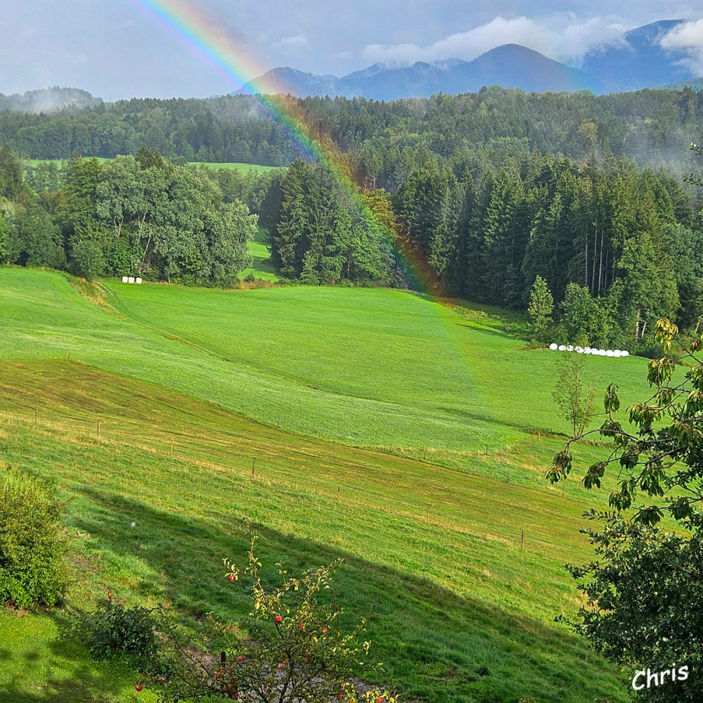 Teil eines Regenbogens
Schlüsselwörter: 2026