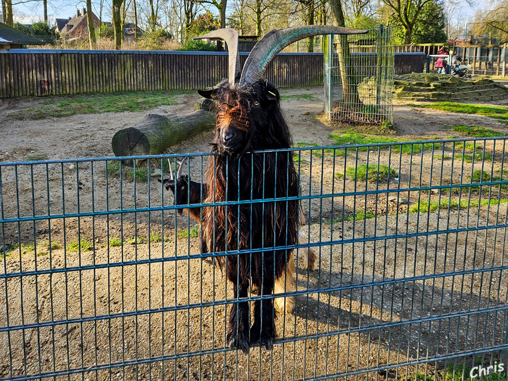 Was guckst du?
Tiergarten Odenkirchen
