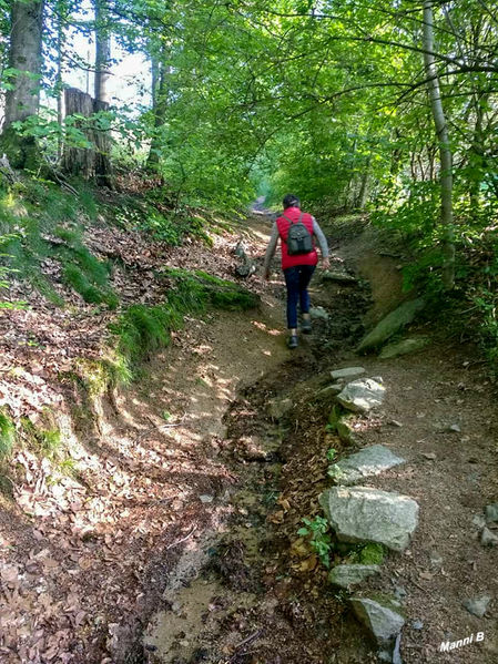 Felsenmeer
auf dem Felsberg oberhalb von Lautertal-Reichenbach im Vorderen Odenwald ist eine Felsenlandschaft aus dunkelgrauem Quarzdiorit, die durch Wollsackverwitterung entstand. Das Felsenmeer wurde bereits von den Römern und später durch die örtlichen Steinmetze zur Steingewinnung genutzt. Wikipedia 
