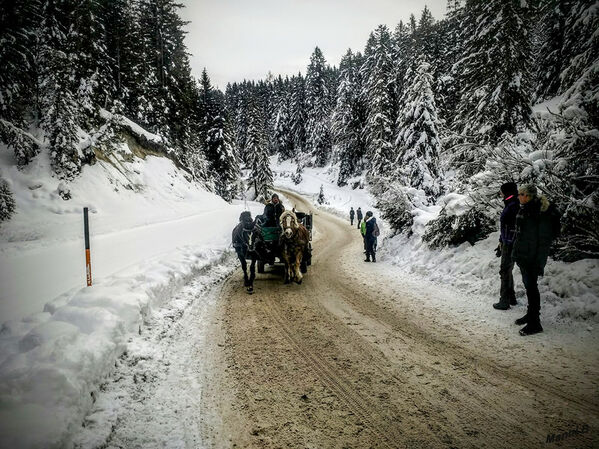 Kutschfahrt
Schlüsselwörter: Tirol