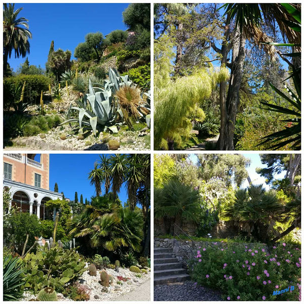 Hanbury
Botanischer Garten
Schlüsselwörter: Italien