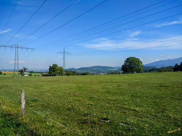 Blick über Rheinauen
