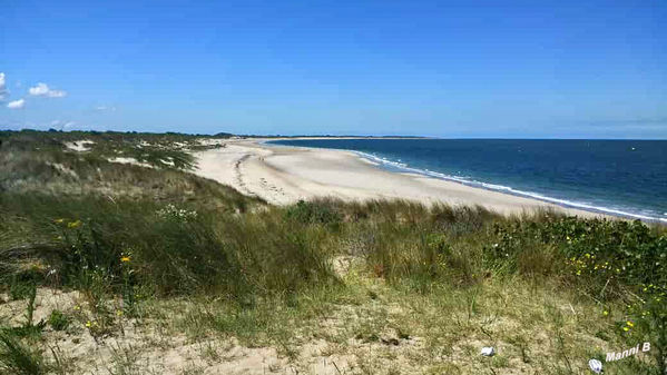 Ausblick
Schlüsselwörter: Zeeland; Holland