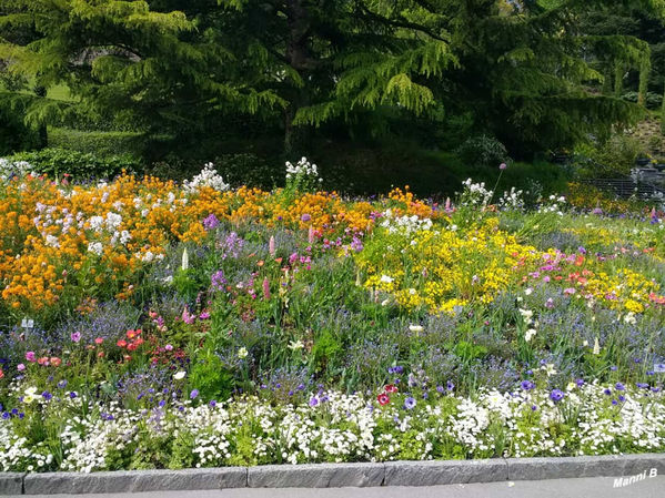 Insel Mainau
