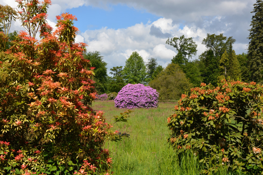 Schlosspark Heltorf
Karl-Heinz
Schlüsselwörter: 2026