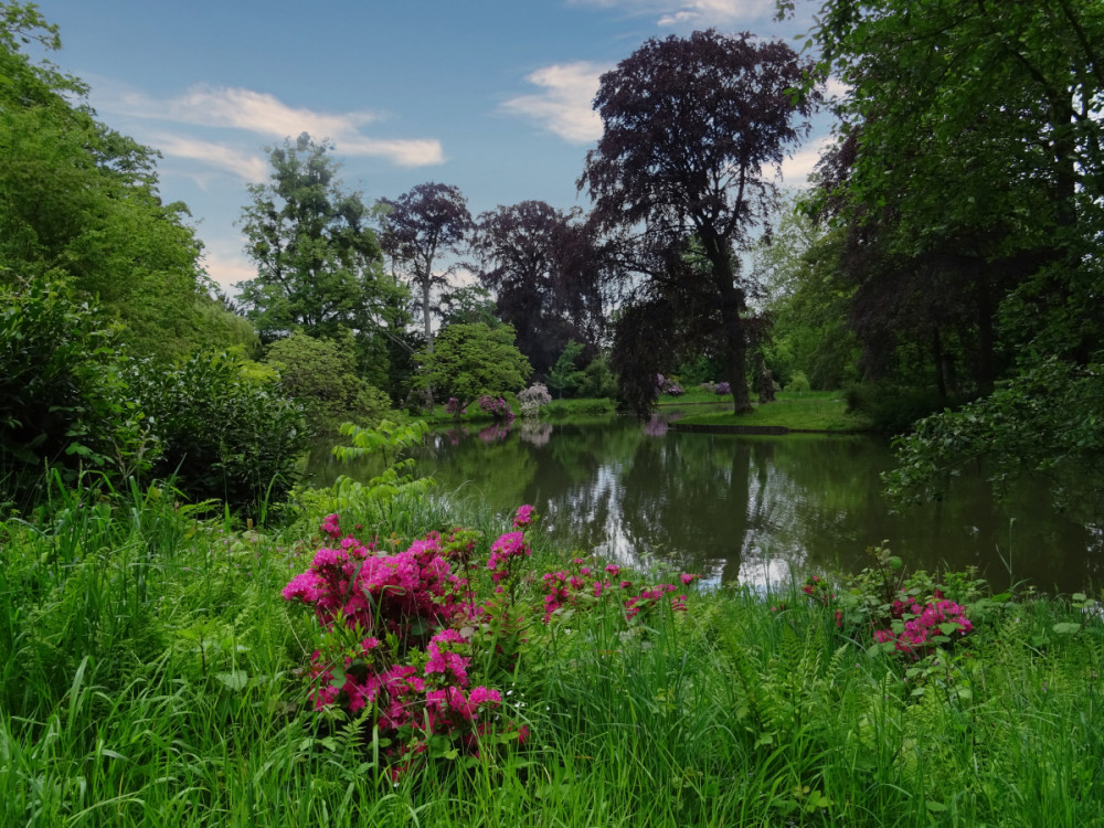 Schlosspark Heltorf
Karl-Heinz
Schlüsselwörter: 2026