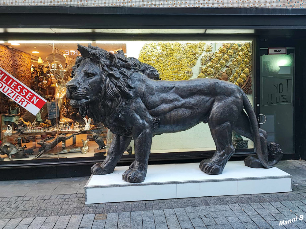 Kölner Impressionen
Schlüsselwörter: 2026