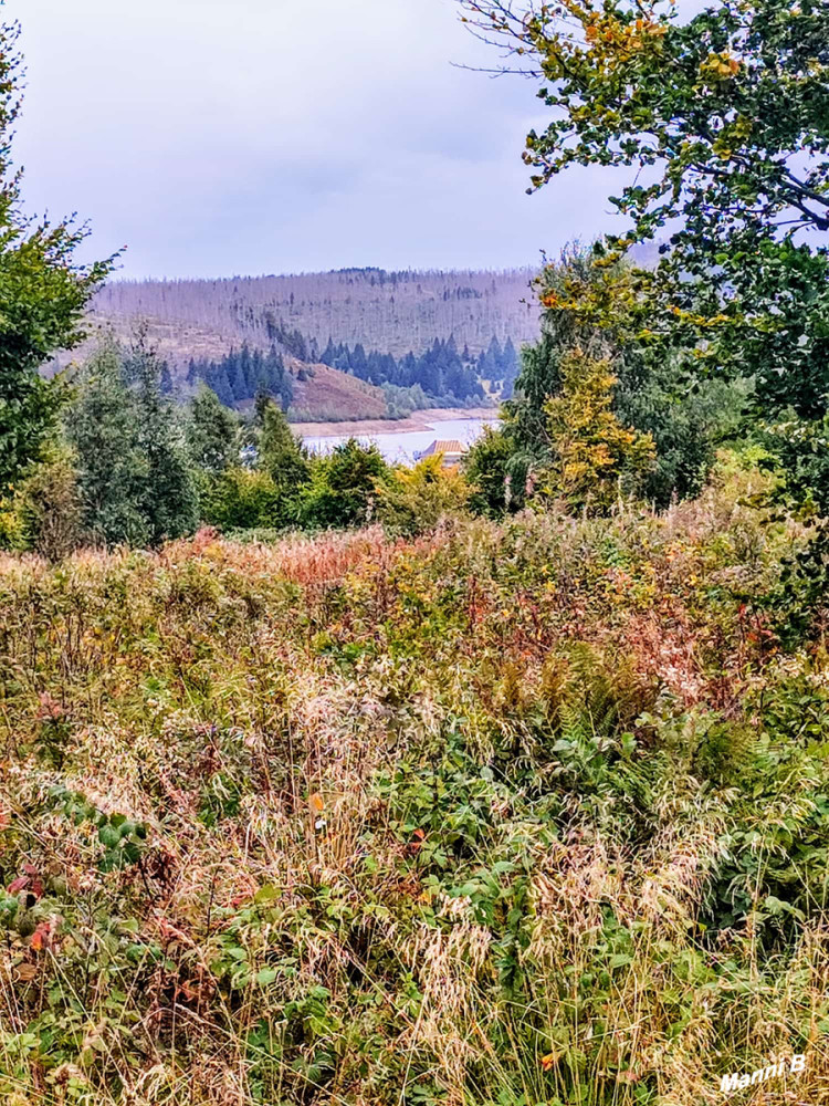 Harz
Wetterbedingt haben wir die Wanderung zur Eckertalsperre abgebrochen.
Schlüsselwörter: 2025