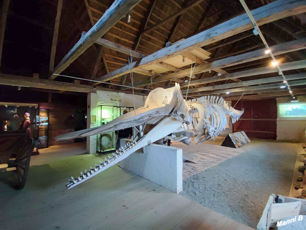 In der Scheune befindet sich eine Dauerausstellung über den Walfang mitsamt Wal-Skeletts. lt.roemoe
Schlüsselwörter: 2026