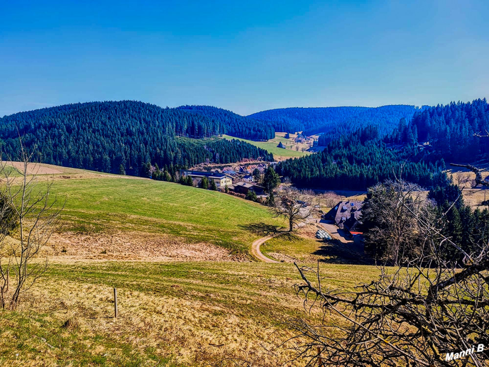 Unterwegs nach Triberg
Schlüsselwörter: 2026
