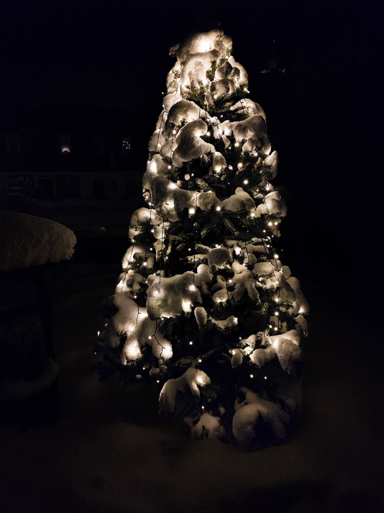 Minimalistisch "Weihnachten"
Manni
Schlüsselwörter: 2026