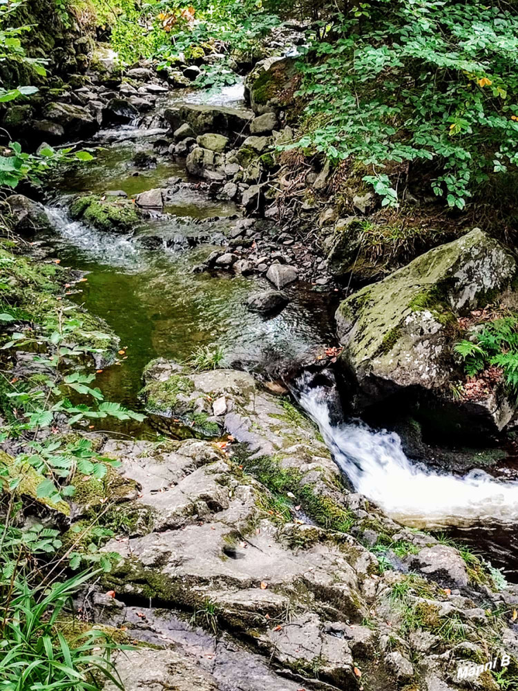Harz
Hier gibt es noch Wasser
Schlüsselwörter: 2025