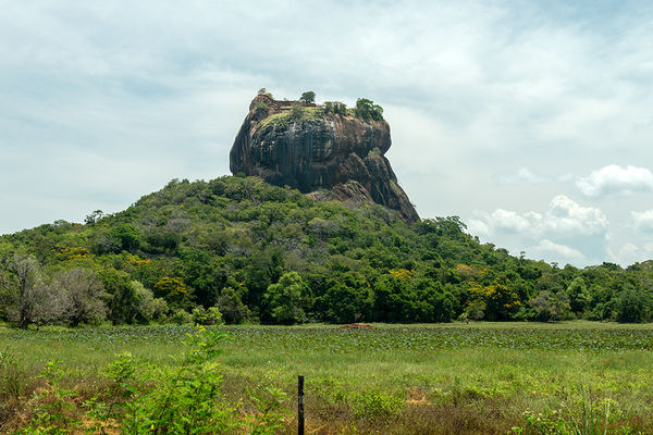 Sigiriya - Löwenfelsen
Sigiriya ist ein Monolith in Sri Lanka, auf dem sich die Ruinen einer historischen Felsenfestung befinden. Der Name leitet sich von „Singha Giri“ ab, was „Löwenfelsen“ bedeutet. 1982 wurde Sigiriya von der UNESCO zum Weltkulturerbe erklärt. laut Wikipedia
Schlüsselwörter: Sri Lanka,   Löwenfelsen,   Sigiriya