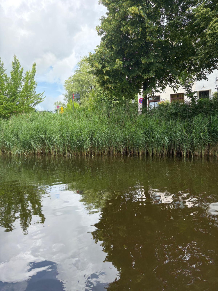 Grachtenfahrt in Friedrichstadt
Schlüsselwörter: 2026