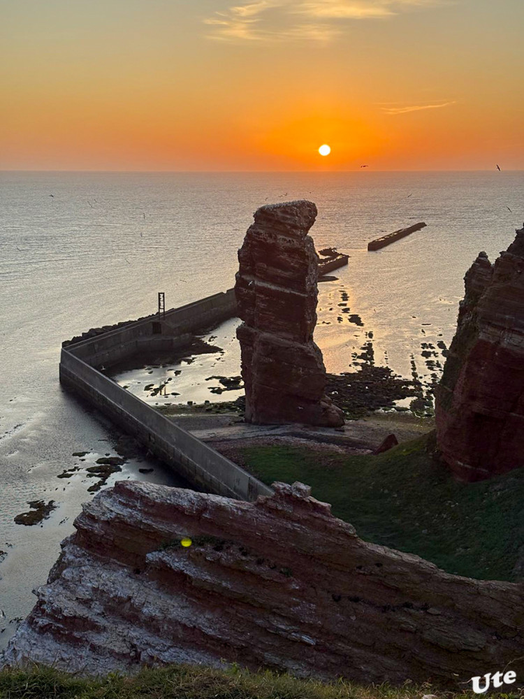 Die lange Anna
Enormer Artenreichtum macht Helgoland zum Paradies für Naturfreunde: Weil Helgoland die einzige
Insel Deutschlands im offenen Meer ist, kommen Hochseevögel natürlich hierher, um zu brüten.
Insbesondere auf der Langen Anna machen es sich dabei etwa der Basstölpel, der Eissturmvogel und die
Dreizehenmöwe gemütlich. Nicht umsonst wird der Sandsteinfelsen auch als Vogelfelsen bezeichnet. lt.helgoland
Schlüsselwörter: 2025