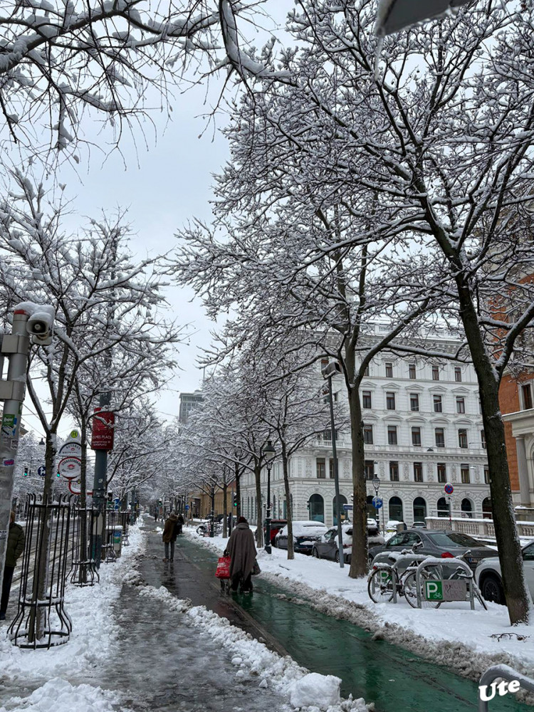Winterbilder aus Wien
Schlüsselwörter: 2026