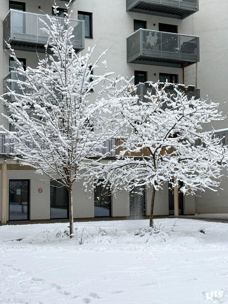 Winterbilder aus Wien
Schlüsselwörter: 2026