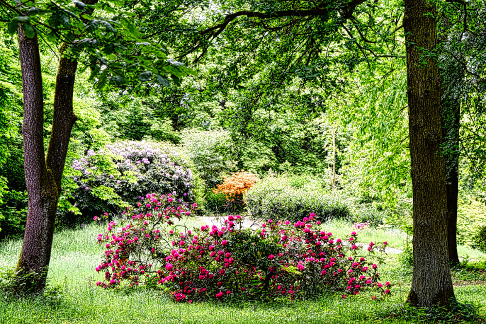 Schlosspark Heltorf
Verena
Schlüsselwörter: 2026