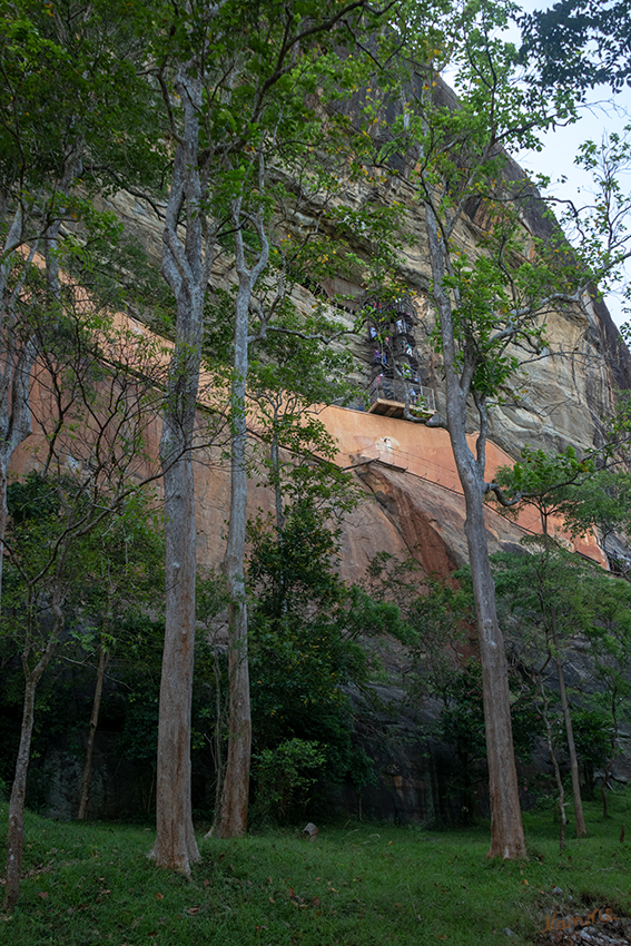 Sigiriya - Löwenfelsen
Insgesamt dauert der Weg bis zum zweiten Plateau 45 - 60 min., je nach Kondition.
Etwa auf halber Höhe wurden unter einem Felsüberhang Fresken von meistens barbusigen Frauen (Wolkenmädchen) angefertigt, die heute über eine stählerne Wendeltreppe zugänglich sind. Es gilt ein strenges Fotografierverbot, dass durch Wächter streng kontorlliert wird.
Schlüsselwörter: Sri Lanka, Löwenfelsen, Sigiriya