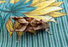 Dateiname=002-Wie_ein_Blatt.jpg
Dateigröße=2273KB
Abmessungen: 4134x2861
hinzugefügt am: 06. September 2023 002-Wie_ein_Blatt.jpg