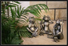 Dateiname=006-a-r-k-IMG_4047.jpg
Dateigröße=678KB
Abmessungen: 1200x816
hinzugefügt am: 27. April 2021 006-a-r-k-IMG_4047.jpg